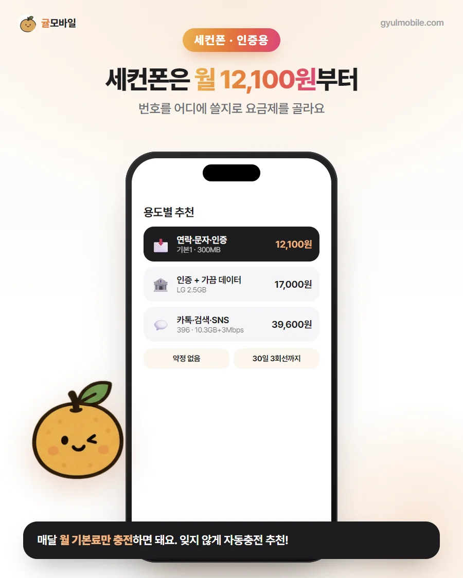 세컨폰·인증용 예시 이미지